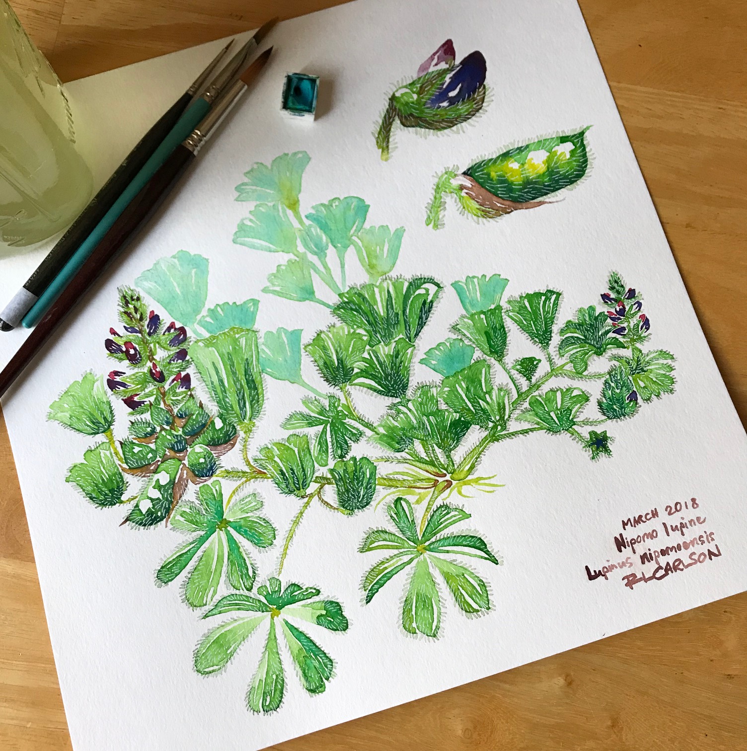 On my work table, 03.16.2018