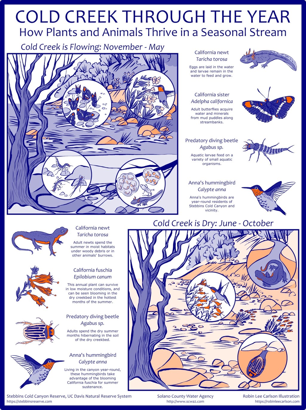 Stebbins Cold Canyon Interpretive&nbsp;Sign