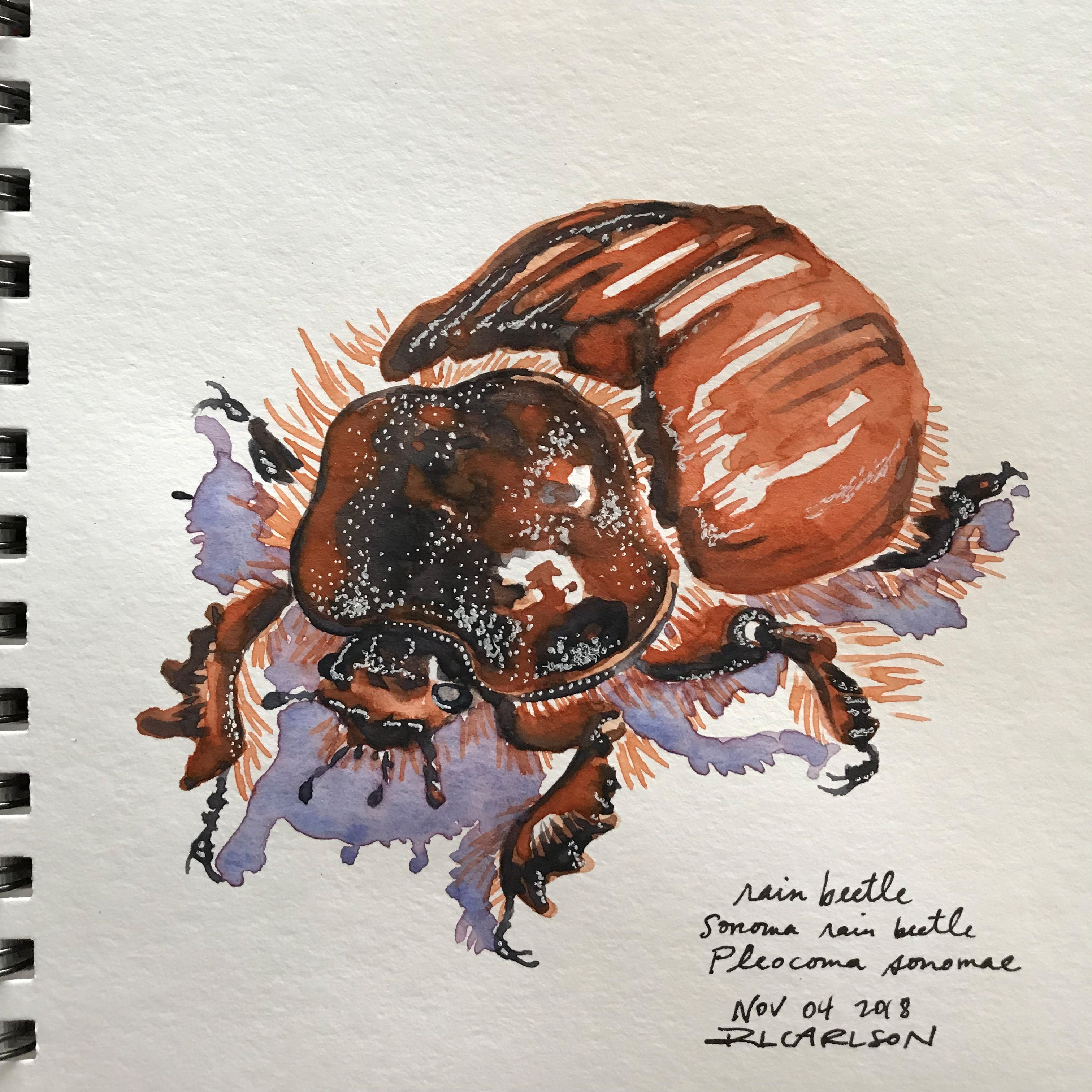 On my work table, 11.09.2018