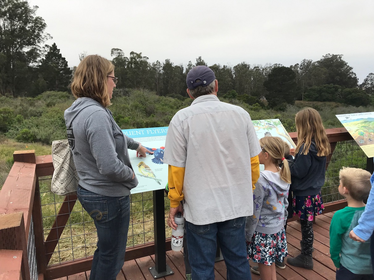 sm Flyers and Viewers