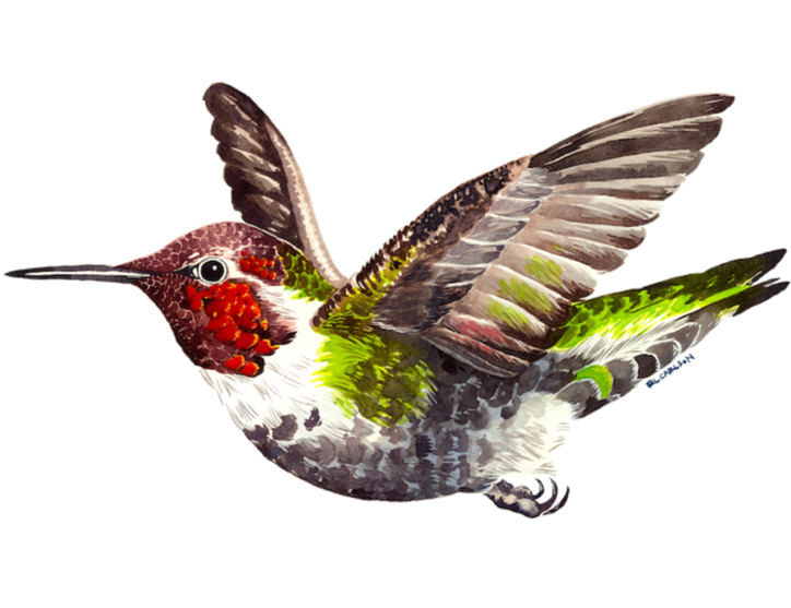 Black Lake Canyon Preserve:&nbsp;Playground