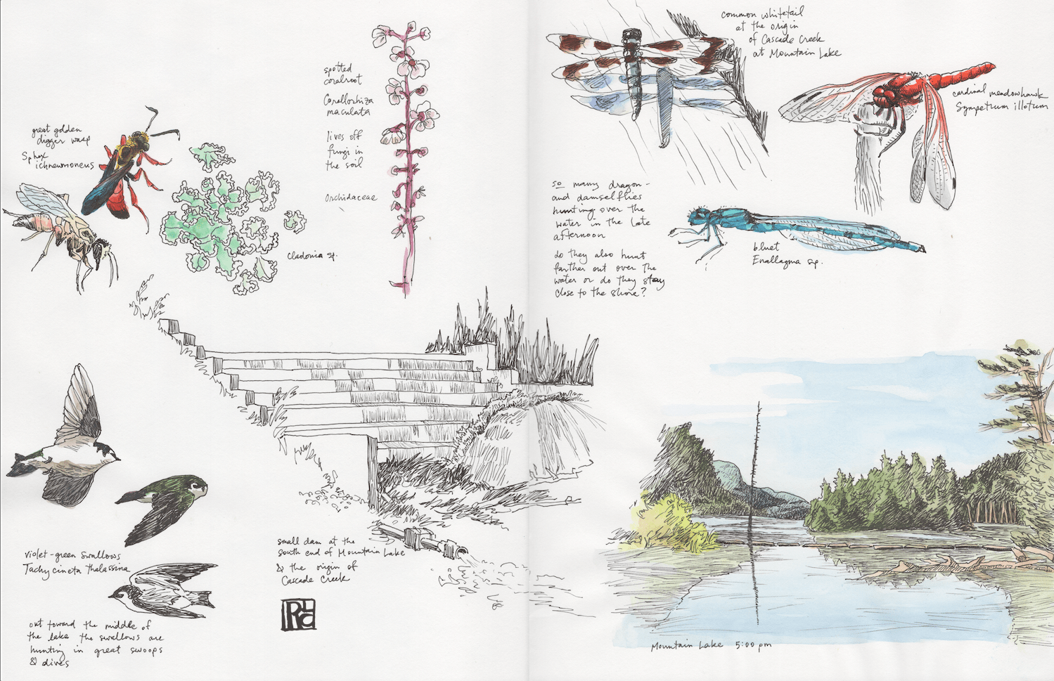 CascadeCrSketchbook Spread 4 sm