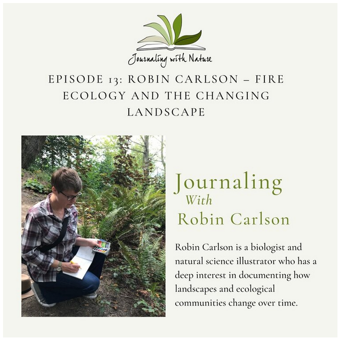 A Conversation with Bethan Burton (Journaling with Nature Podcast)