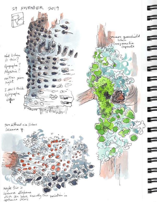 SketchbookPage7_2019Nov29 sm