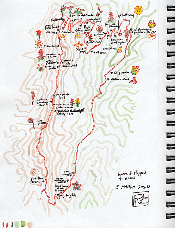 StebbinsSketchbook1_2020Mar5