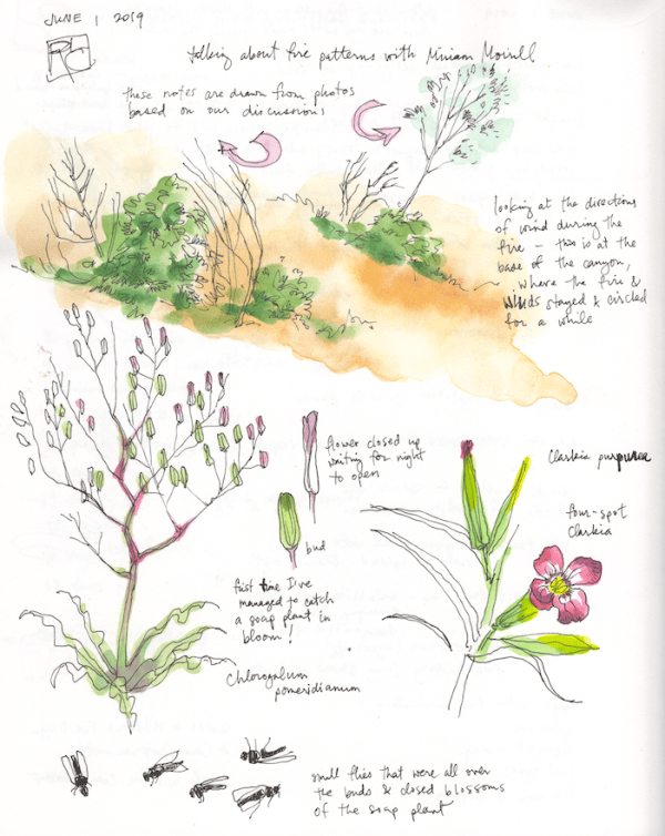 StebbinsSketchbook3_2019Jun01