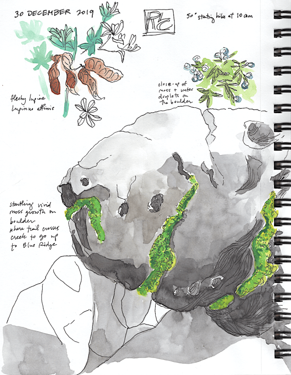 StebbinsSketchbookP1_2019Dec30