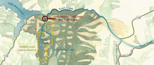 coldcreekputahcreek