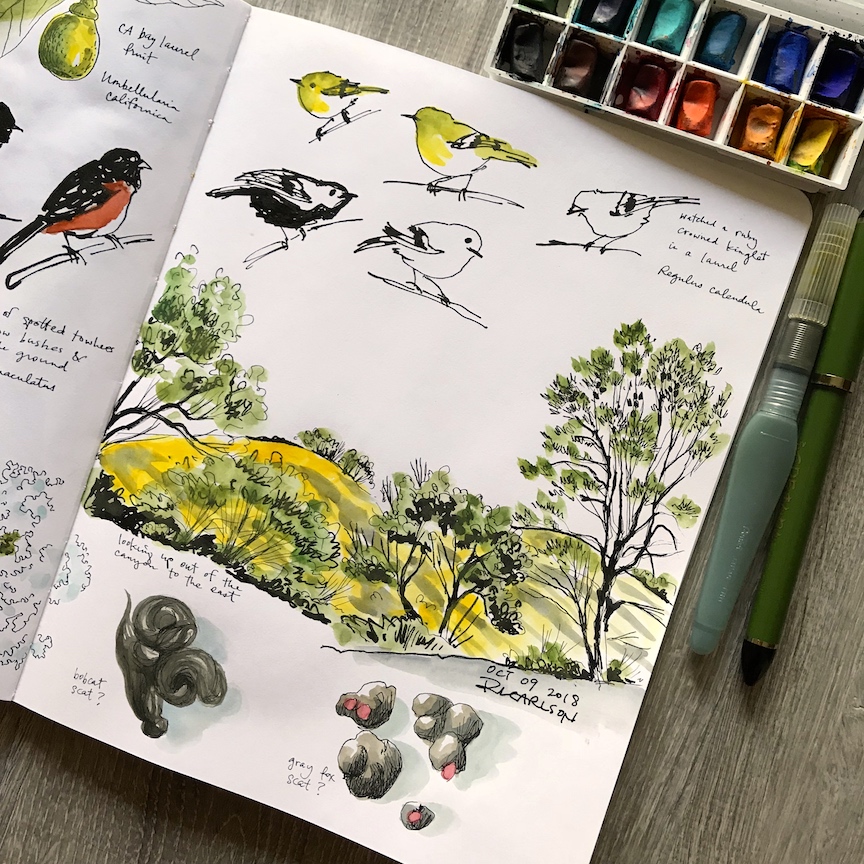 October Visit (10/8/2018)