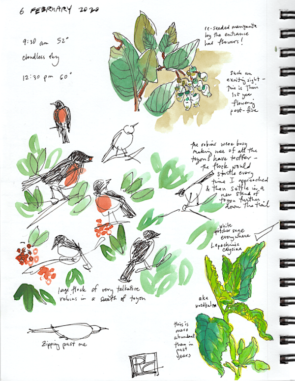 StebbinsSketchbook1_2020Feb06