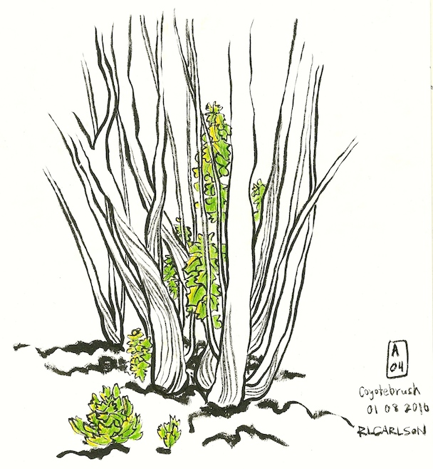 January Visit (1/8/2016)