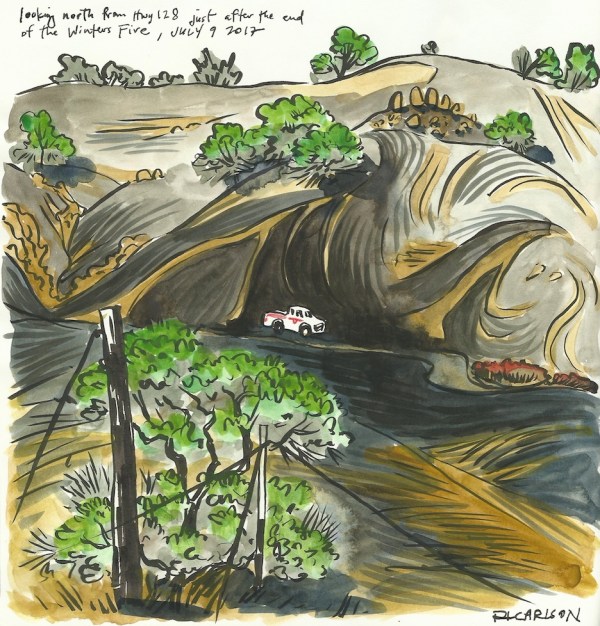 AfterWintersFire2_2017Jul9_sm