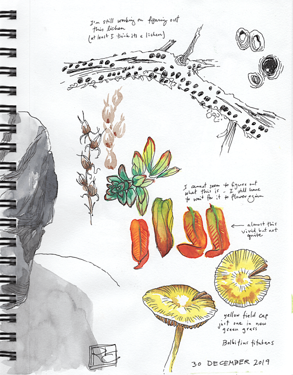 StebbinsSketchbookP2_2019Dec30