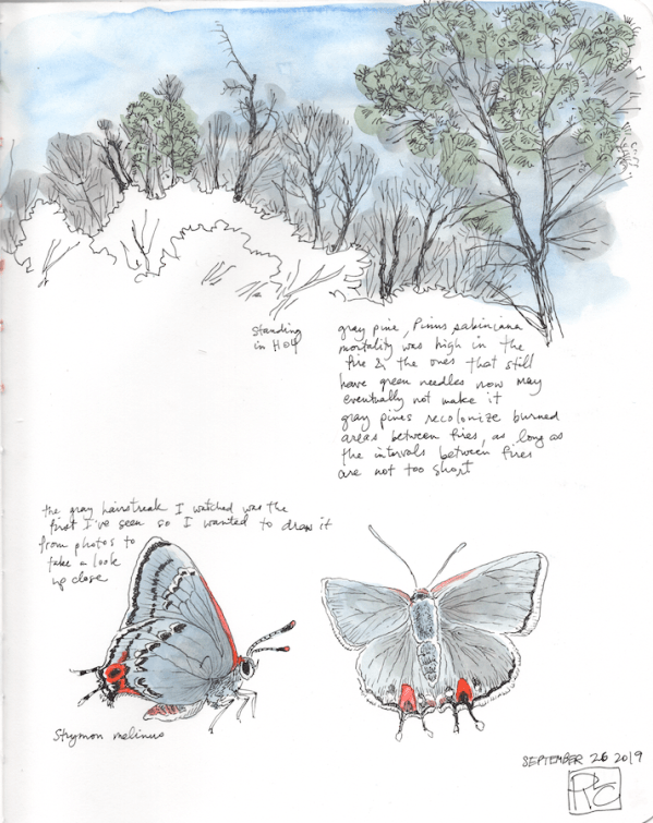 StebbinsSketchbook6_2019Sep26