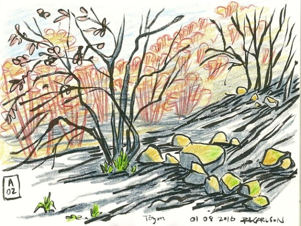 toyona02_2016jan8_sm