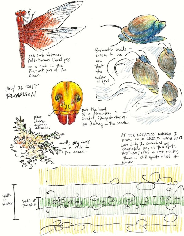 StreamLife_2017Jul26_sm