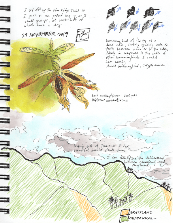 SketchbookPage2_2019Nov29 sm