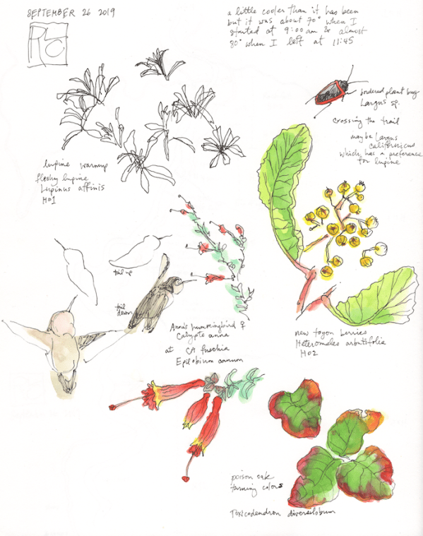 StebbinsSketchbook1_2019Sep26