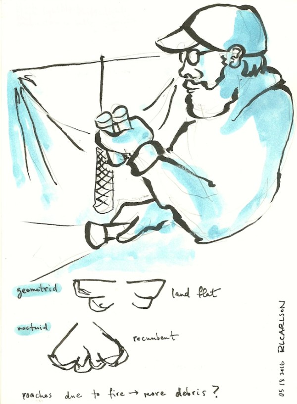 mothcollecting2_2016may18_sm