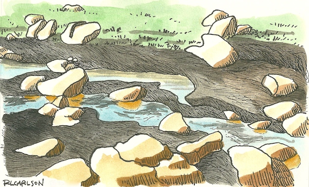 Water Quality (12/30/2015 & 1/8/2016)