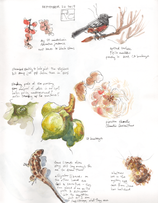 StebbinsSketchbook2_2019Sep26