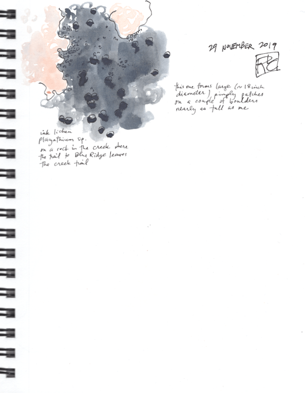 SketchbookPage8_2019Nov29 sm