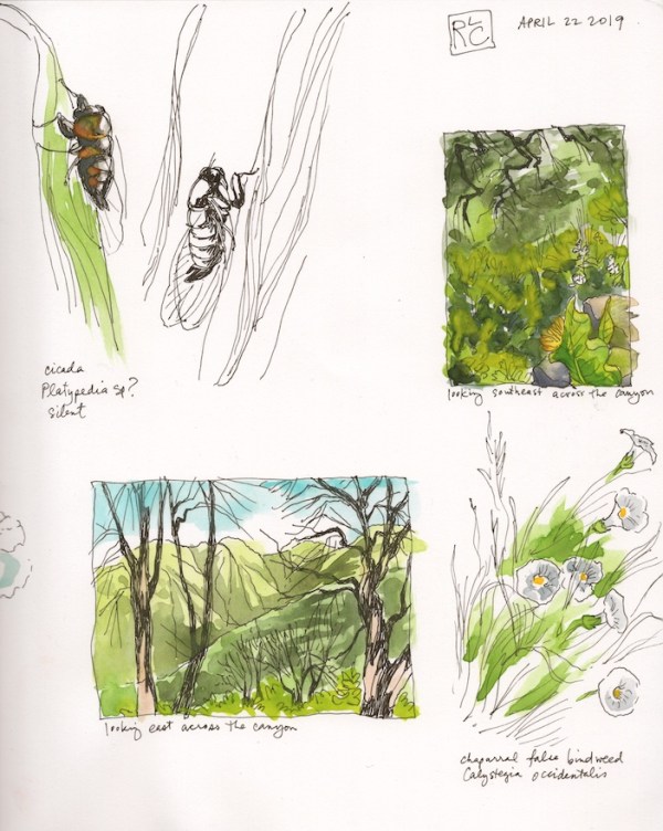 StebbinsSketchbook4_2019Apr22 sm