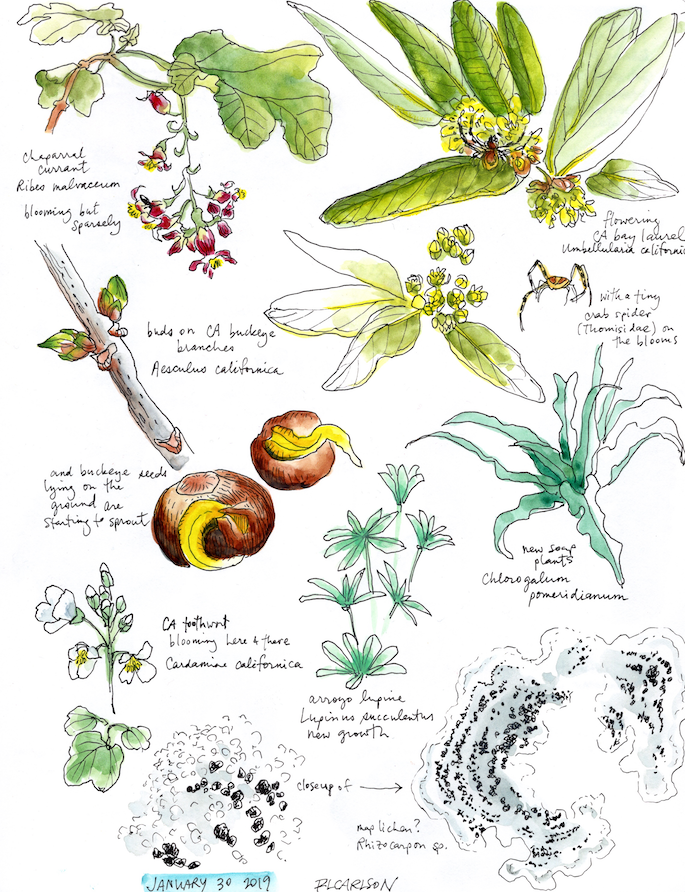 January Visit (1/30/2019)