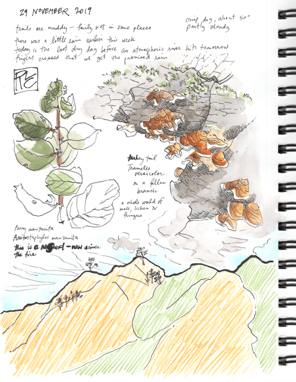 SketchbookPage1_2019Nov29 sm