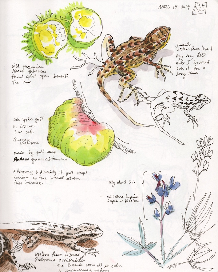 April Visit #1 (4/19/2019)