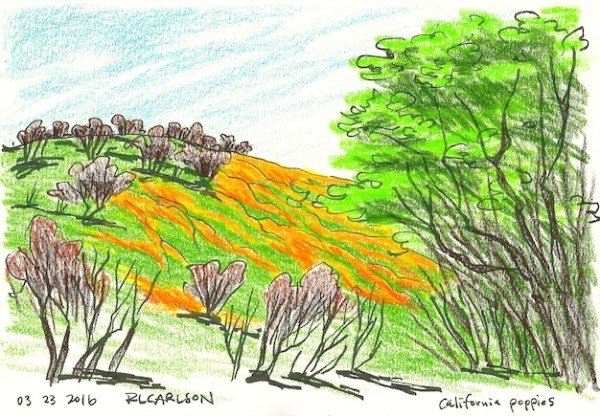 capoppyhillside_2016mar23_sm