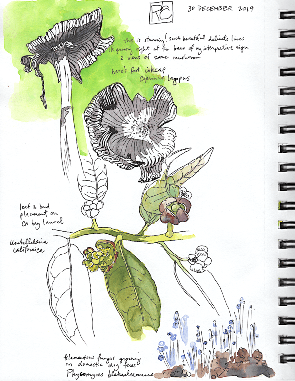 StebbinsSketchbookP3_2019Dec30