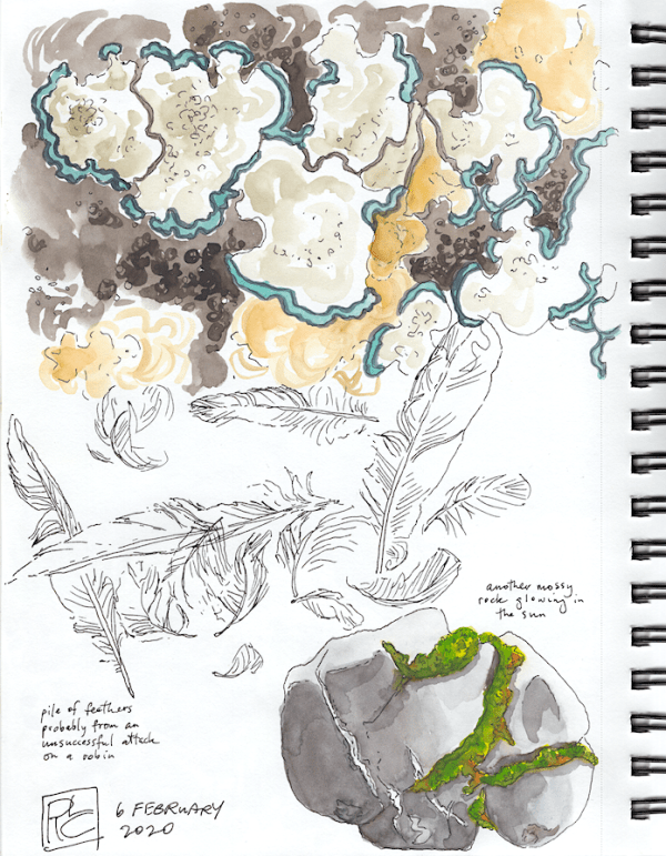 StebbinsSketchbook5_2020Feb06