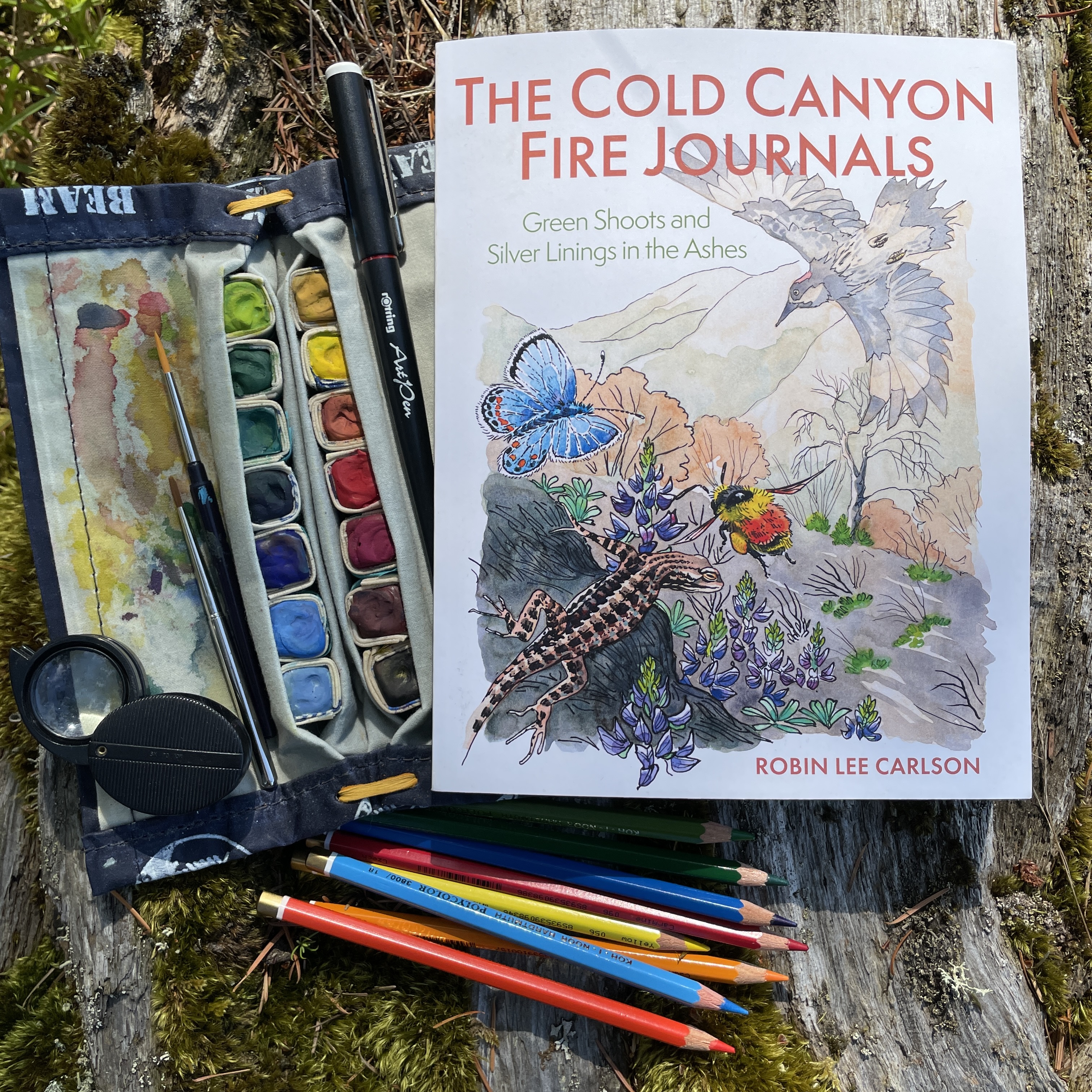 The Cold Canyon Fire Journals: Preorder Special Offer