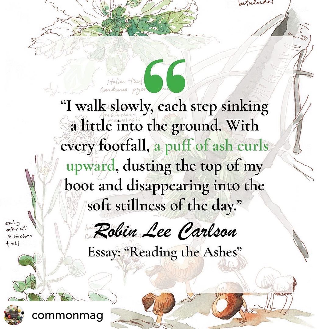 Reading the Ashes