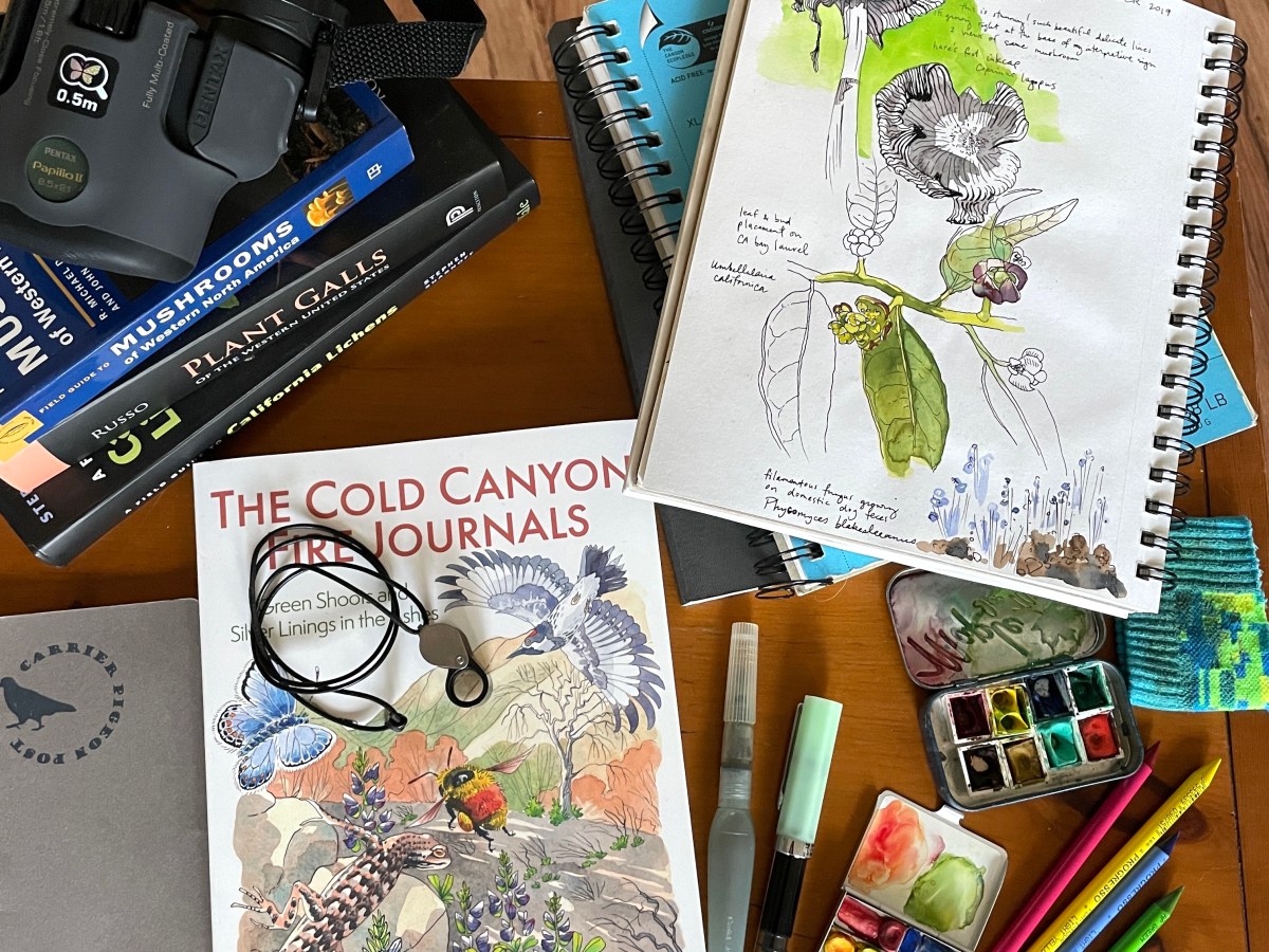 Willits Center for the&nbsp;Arts