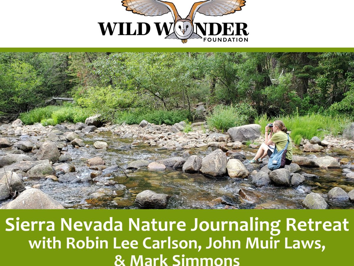 Sierra Nevada Nature Journaling&nbsp;Retreat