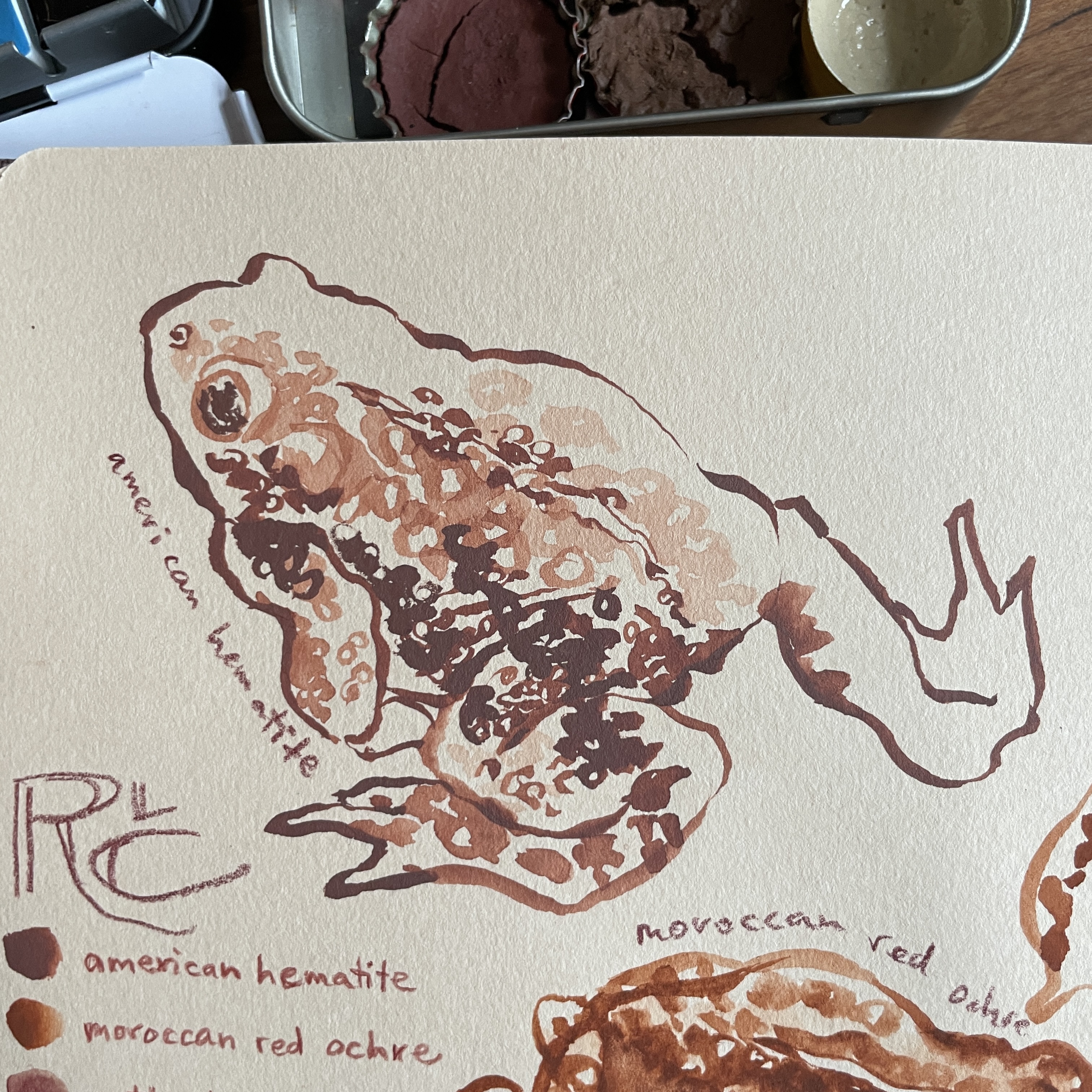 Sketchbook: Earthy Toads