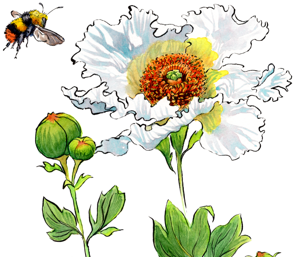 Help Rebuild the Eaton Canyon Nature&nbsp;Center